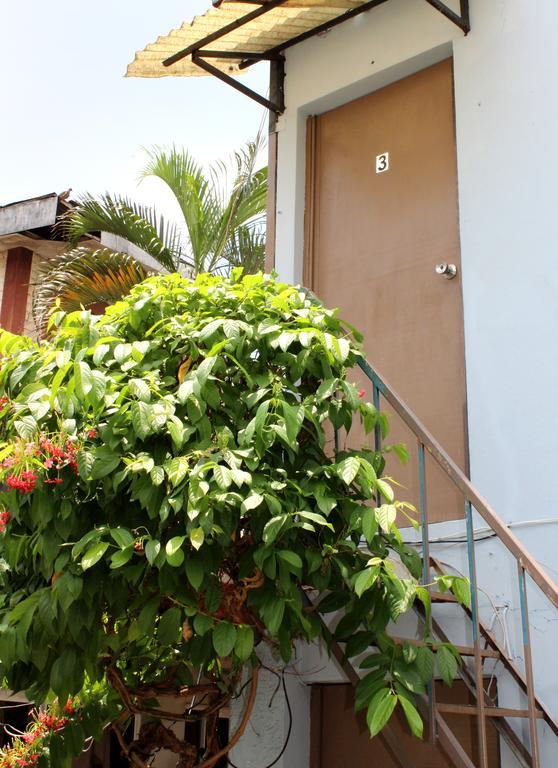 Ximenas Guest House San Salvador Exteriör bild